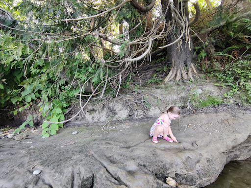 Park «Al Borlin Park», reviews and photos, 615 Simons Rd, Monroe, WA 98272, USA