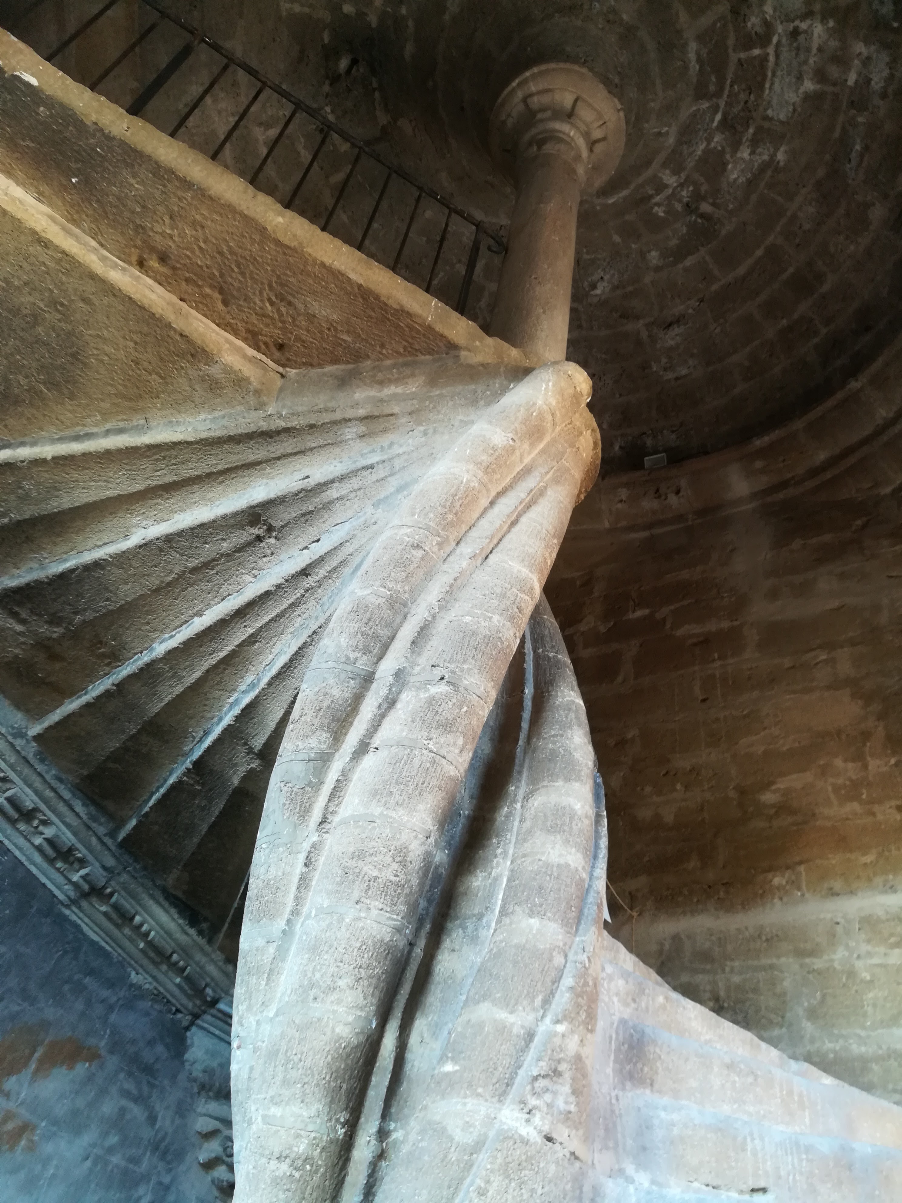 Photo n° 2 de l'avis de Momo.e fait le 21/09/2017 à 17:00