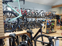 Meridian Cycles - Photo 6 - Car repair in Meridian, ID, Meridian