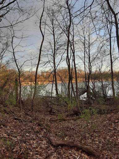 Bird Watching Area «Haehnle Sanctuary», reviews and photos, Seymour Rd, Pleasant Lake, MI 49272, USA