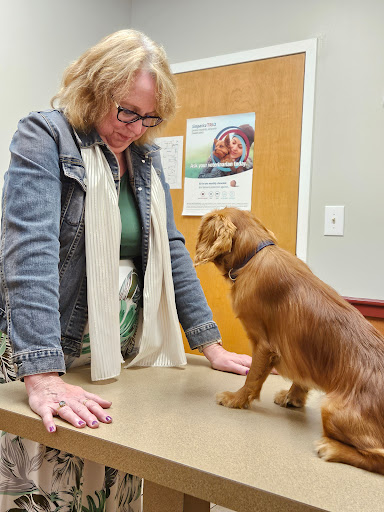 Mountainside Veterinary Hospital image
