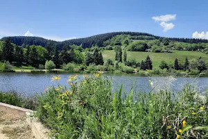 Lac du Ronzey image
