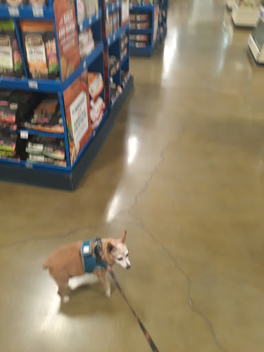 Pet Supply Store «PetSmart», reviews and photos, 1140 W Elliot Rd, Tempe, AZ 85284, USA