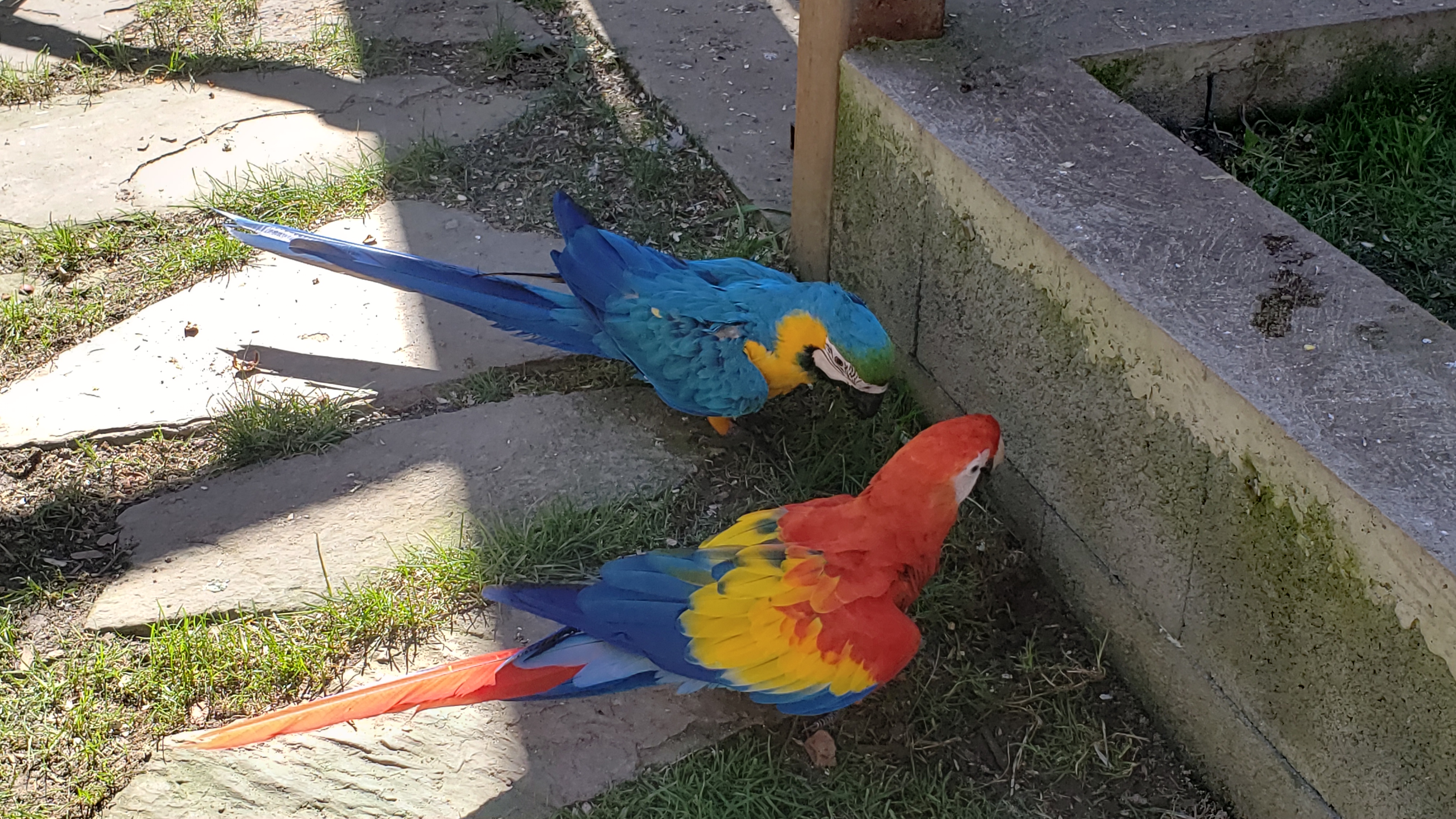 Photo n° 13 de l'avis de Cris.9 fait le 05/10/2023 à 13:30