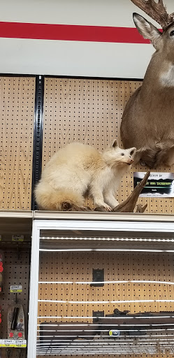 Department Store «Runnings of Brockport», reviews and photos, 4828 Lake Rd N, Brockport, NY 14420, USA