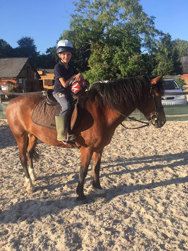 Ampfield Riding Stables