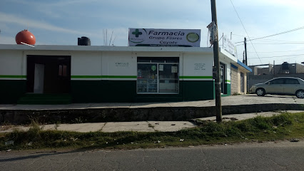 Farmacia Grupo Flores Coyote, , Colonia Ricardo Flores Magón