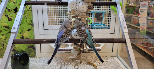 Pet Supply Store «PetSmart», reviews and photos, 3401 Erie Blvd E, Syracuse, NY 13214, USA