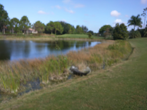 Golf Club «Crown Colony Golf and Country Club», reviews and photos, 8851 Crown Colony Blvd, Fort Myers, FL 33908, USA