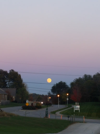 Vineyard «Stone Pillar Vineyard & Winery», reviews and photos, 11000 S Woodland St, Olathe, KS 66061, USA