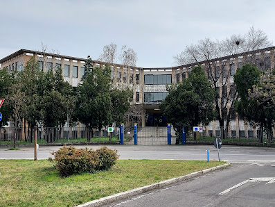 Oberdan Liceo Scienze Umane Viale Merisio Michelangelo, 14, 24047 Treviglio BG, Italia