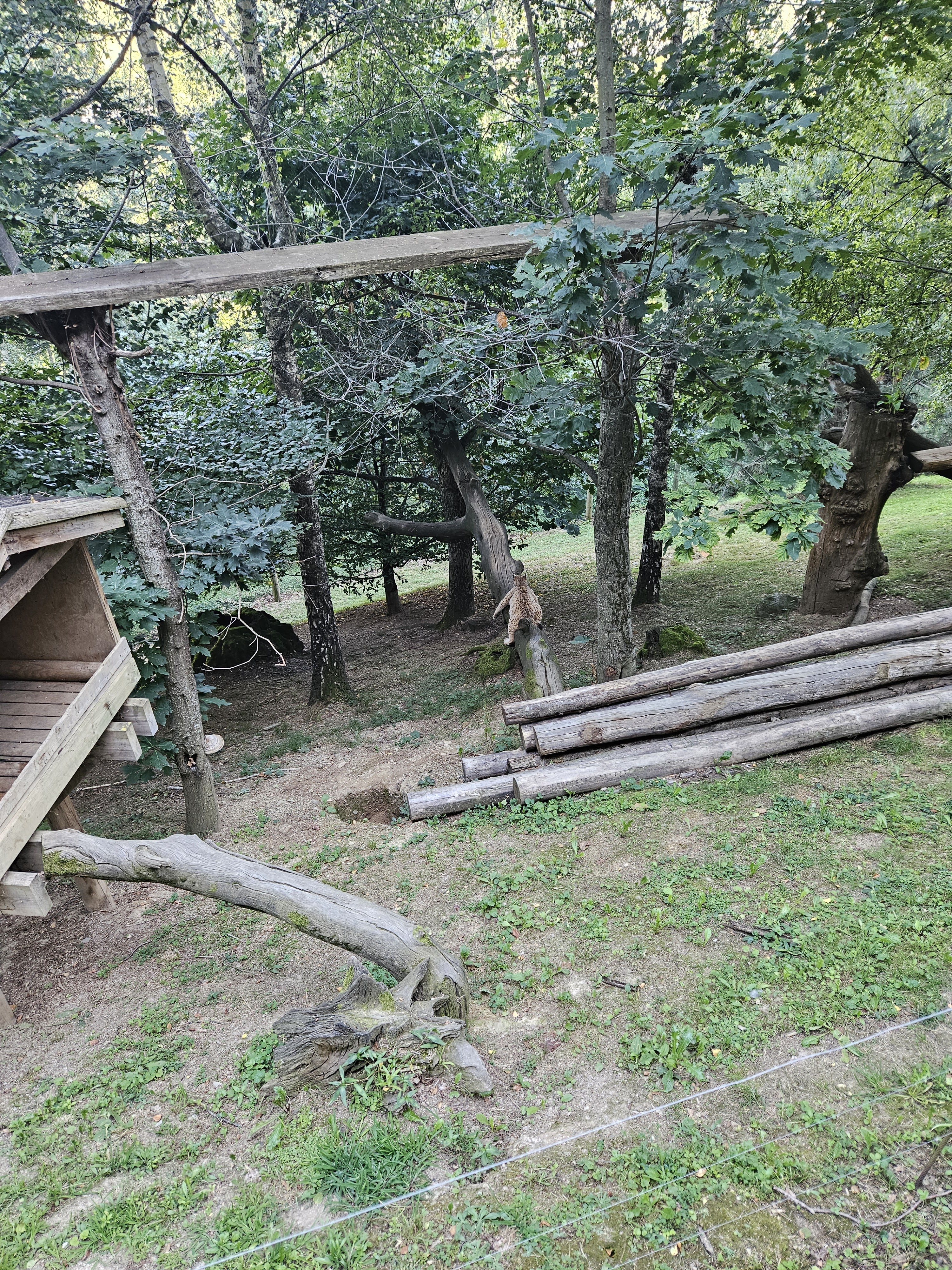 Photo n° 9 de l'avis de Christian.o fait le 01/08/2023 à 19:28