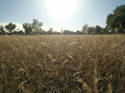 Park «Conocido Park», reviews and photos, 15645 N 31st Dr, Phoenix, AZ 85053, USA