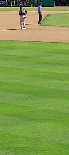 Stadium «Clearwater Threshers», reviews and photos, 601 Old Coachman Rd, Clearwater, FL 33765, USA