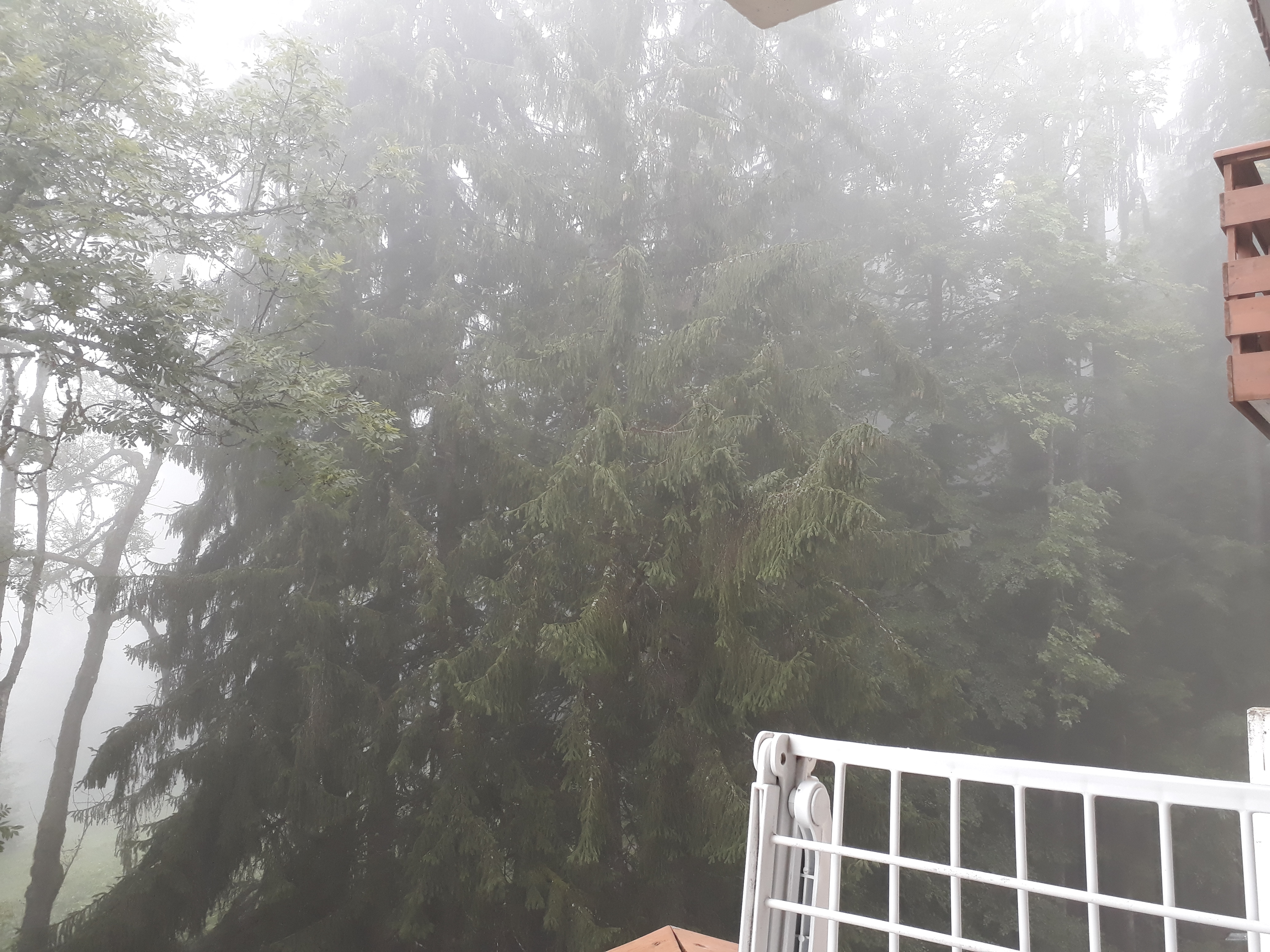 Photo n° 20 de l'avis de Stef.e fait le 01/09/2018 à 09:47
