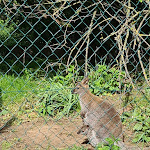 Photo n°33 de l'avis de Petra.l fait le 29/05/2021 à 08:22 sur le  Der Luminohof à Käbschütztal