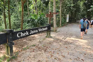 Chek Jawa Wetlands image