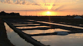 Marais salant Salines du Breuil Beauvoir-sur-Mer