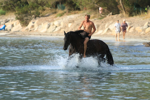 Equicomplice A Staffa à Porto-Vecchio