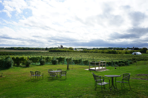 Winery «Door 44 Winery», reviews and photos, 4020 State Hwy 42 Bus #2, Sturgeon Bay, WI 54235, USA