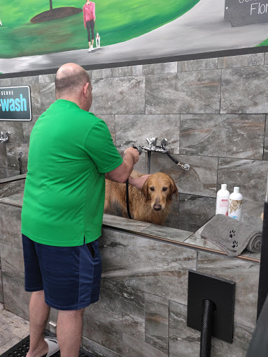 Pet Store «Pet Supermarket, Inc.», reviews and photos, 2446 N University Dr, Coral Springs, FL 33065, USA