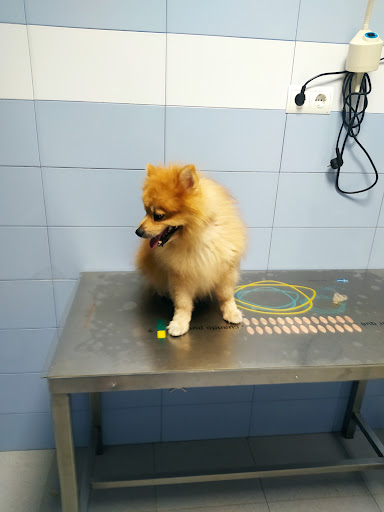 Centro de Servicios Veterinarios Osca S L en Barbastro
