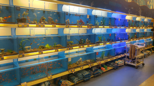 Pet Supply Store «PetSmart», reviews and photos, 6060 Long Prairie Rd, Flower Mound, TX 75028, USA