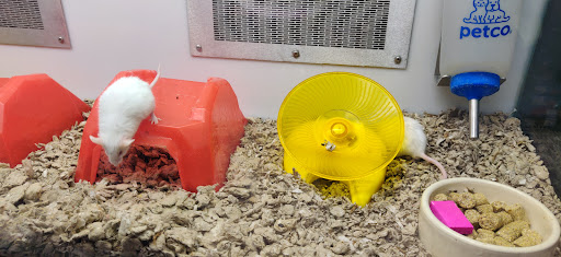 Pet Supply Store «Petco Animal Supplies», reviews and photos, 1919 El Camino Real, Mountain View, CA 94040, USA