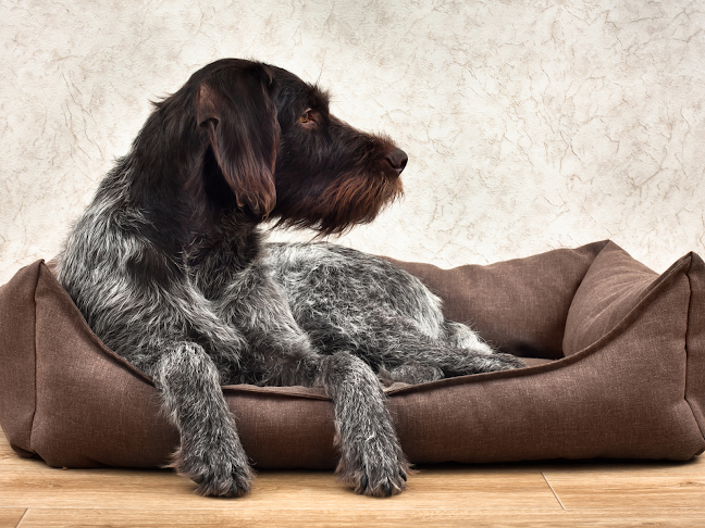 Brukowa 10, 91-341 Łódź