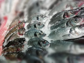 Pescheria Mar snc- Il pesce di Mar- Ambulanti da 3 generazioni