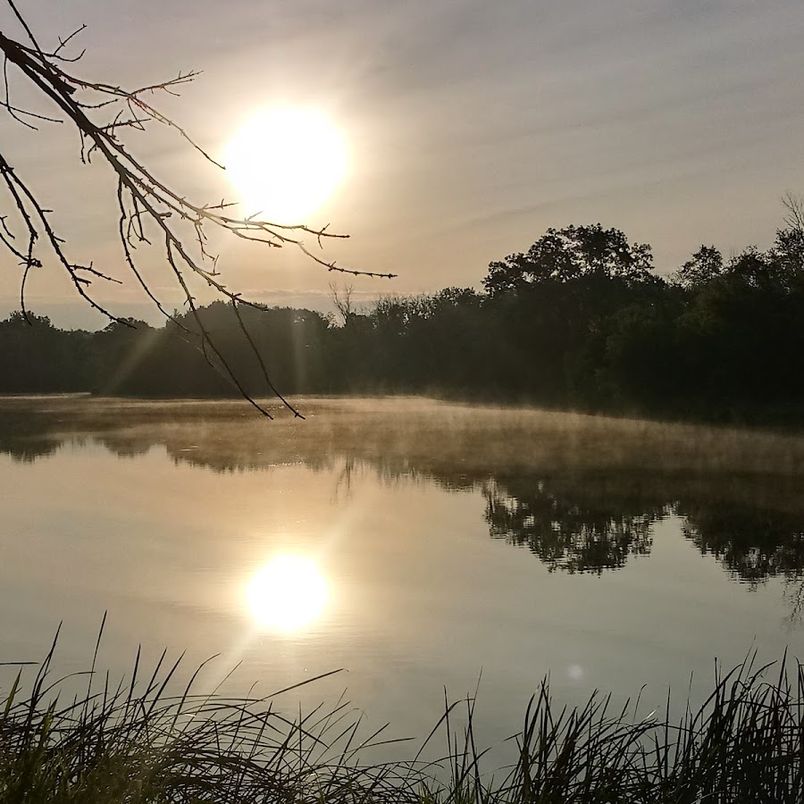 Belly Deep Slough