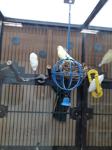 Pet Supply Store «PetSmart», reviews and photos, 1183 Berkshire Blvd, Wyomissing, PA 19610, USA