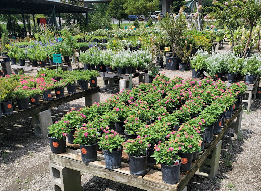 Plant Nursery «HOUSTON PLANTS & GARDEN WORLD», reviews and photos, 16726 North Fwy, Houston, TX 77090, USA