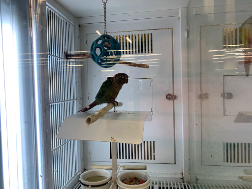 Pet Supply Store «Petco Animal Supplies», reviews and photos, 390 Universal Dr N, North Haven, CT 06473, USA