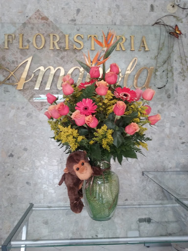 Amapolas Floristería