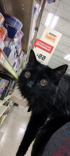 Pet Supply Store «PetSmart», reviews and photos, 16086 Jackson Creek Pkwy, Monument, CO 80132, USA