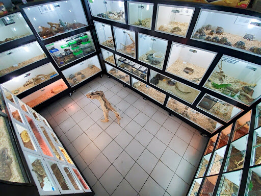 Reptile Store «Pet Palace», reviews and photos, 1442 N Hollenbeck Ave, Covina, CA 91722, USA