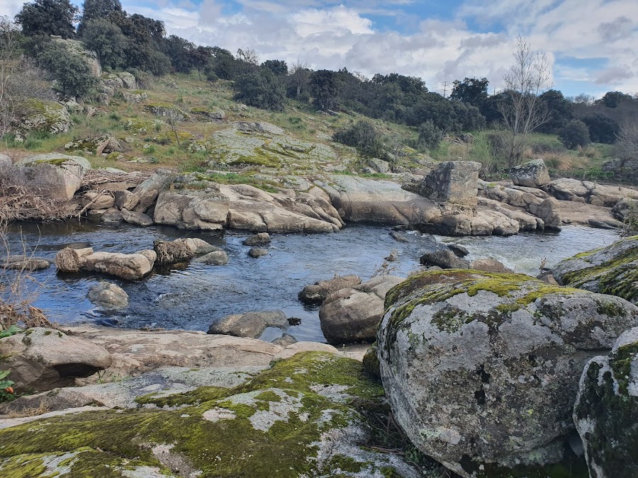 El Coto De Las Suertes