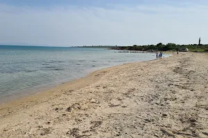 uslu plajı image