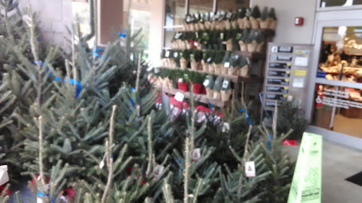 Grocery Store «Whole Foods Market», reviews and photos, 1817 Thomasville Rd, Tallahassee, FL 32303, USA