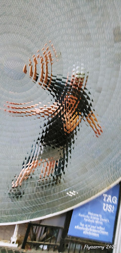 Science Museum «Kentucky Science Center», reviews and photos, 727 W Main St, Louisville, KY 40202, USA