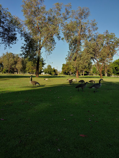 Golf Course «Sinaloa Golf Course», reviews and photos, 980 Madera Rd, Simi Valley, CA 93065, USA