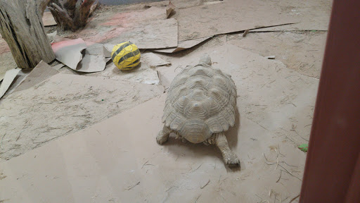 Pet Supply Store «Living Things», reviews and photos, 3437 PA-309, Orefield, PA 18069, USA