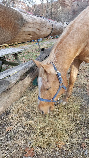 Horseback Riding Service «Grandpa Jeffs Trailrides», reviews and photos, 5889 S Skinner Rd, Morgantown, IN 46160, USA