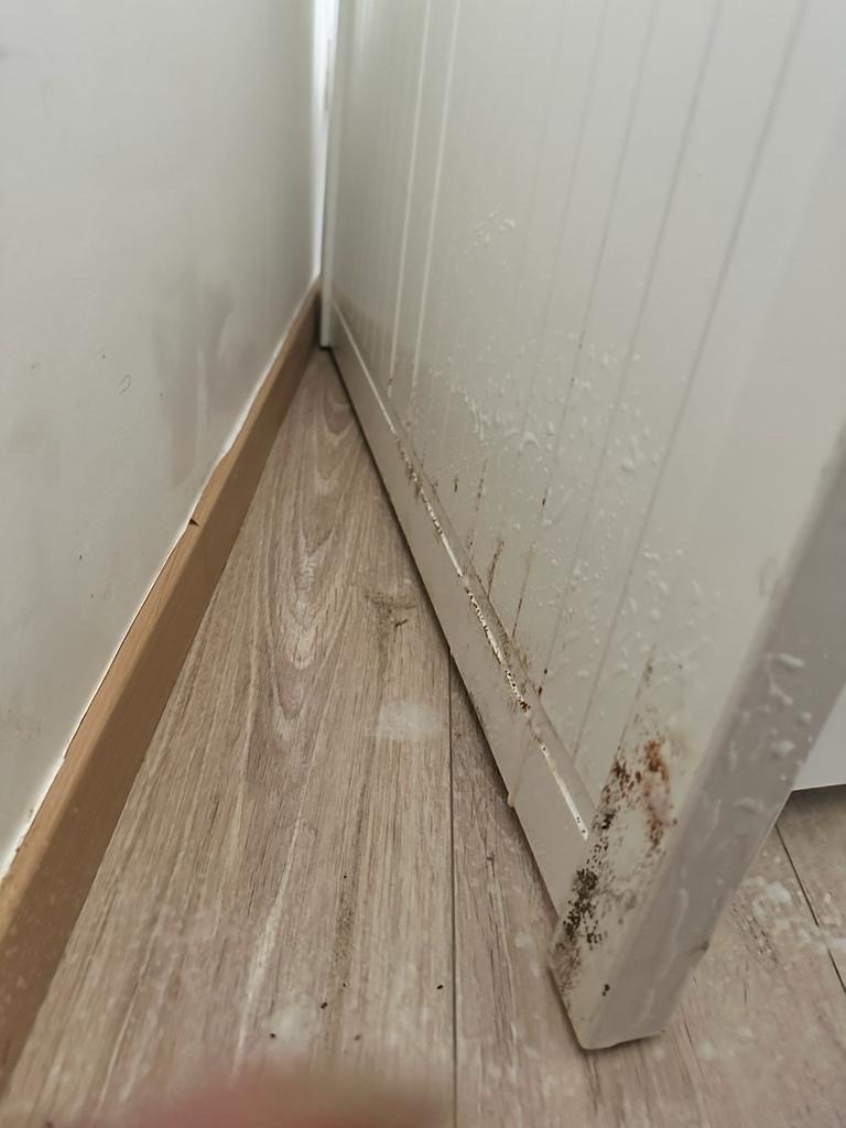 Photo n° 11 de l'avis de Mélissa. fait le 20/10/2023 à 15:52