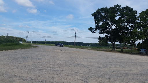 Farm «Lewin Farms», reviews and photos, 812 Sound Ave, Calverton, NY 11933, USA