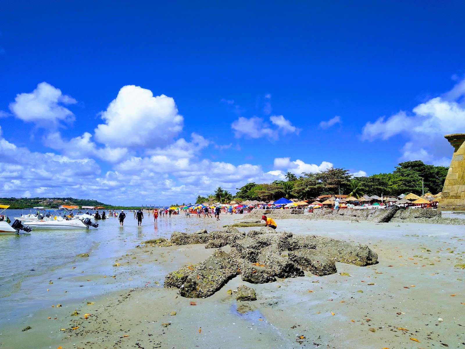 Photo de Praia do Forte Orange - recommandé pour les voyageurs en famille avec des enfants