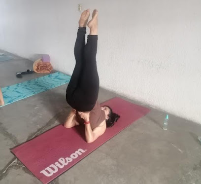 Luisa Yoga