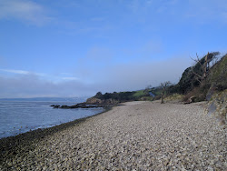 Photo de Cove Road Beach zone sauvage