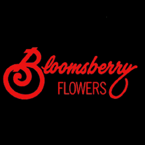 Florist «Bloomsberry Flowers - Wilmington», reviews and photos, 620 S Van Buren St, Wilmington, DE 19805, USA